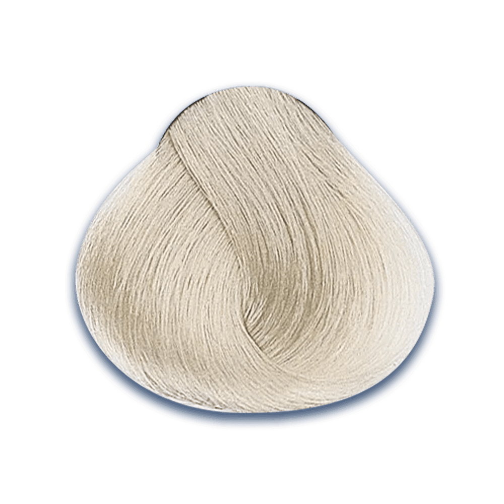 1. Harmonizer Evolution of the Color