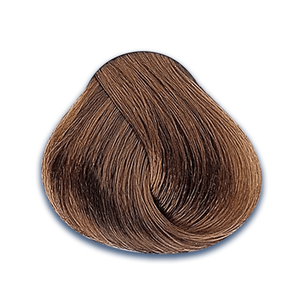 7. Tonos DORADOS Evolution of the Color