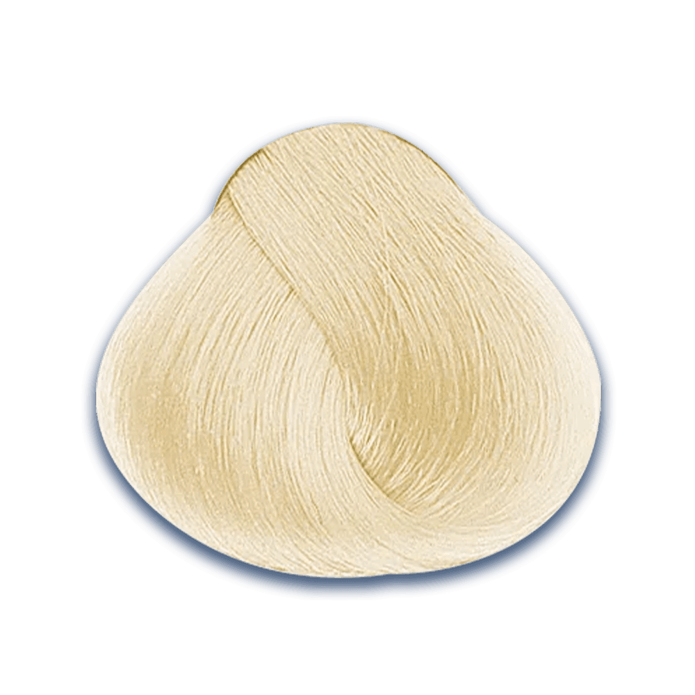 1. Harmonizer Evolution of the Color