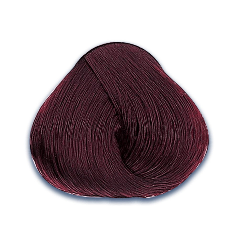18. Tonos ROJOS Evolution of the Color