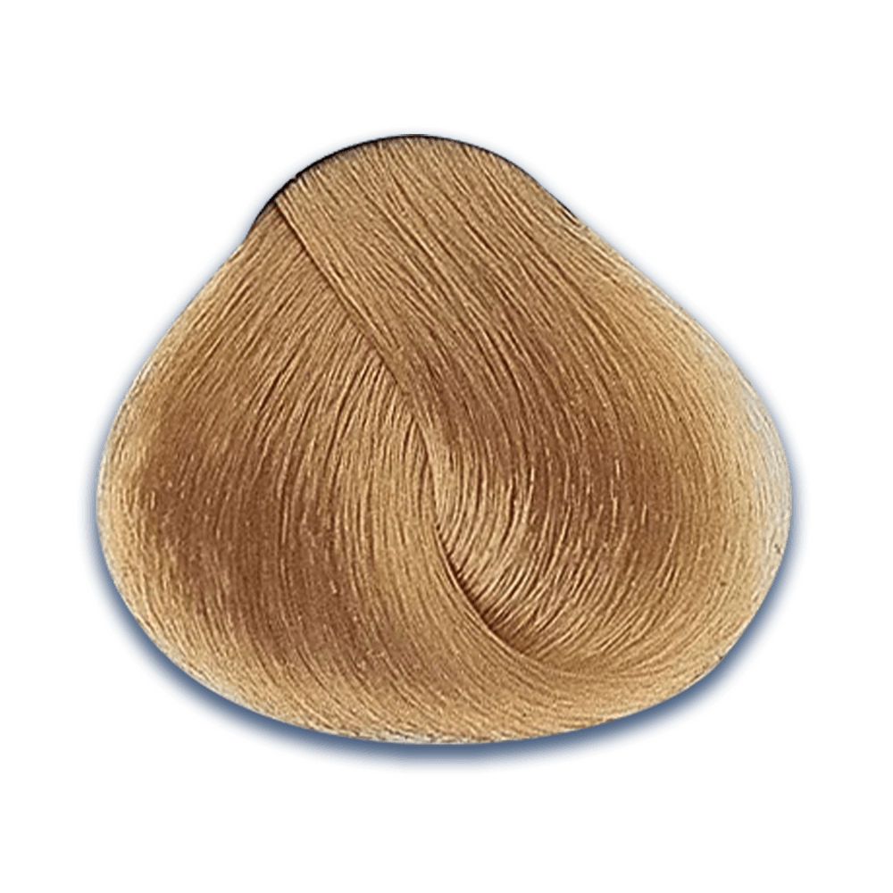 7. Tonos DORADOS Evolution of the Color
