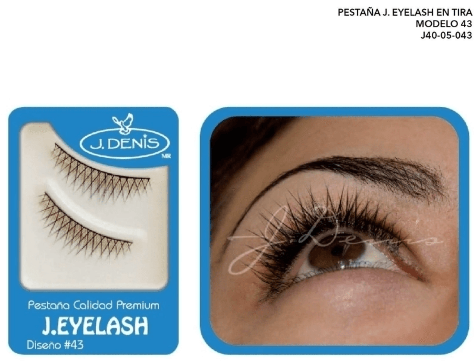 Pestaña Europea de Tira