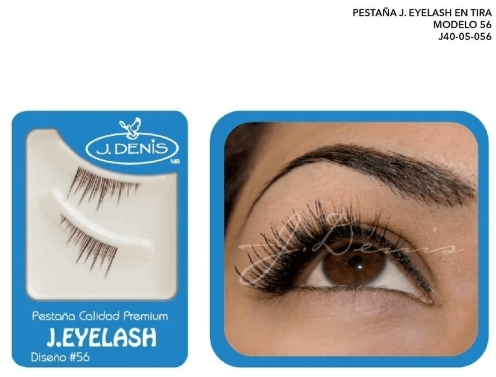 Pestaña Europea de Tira