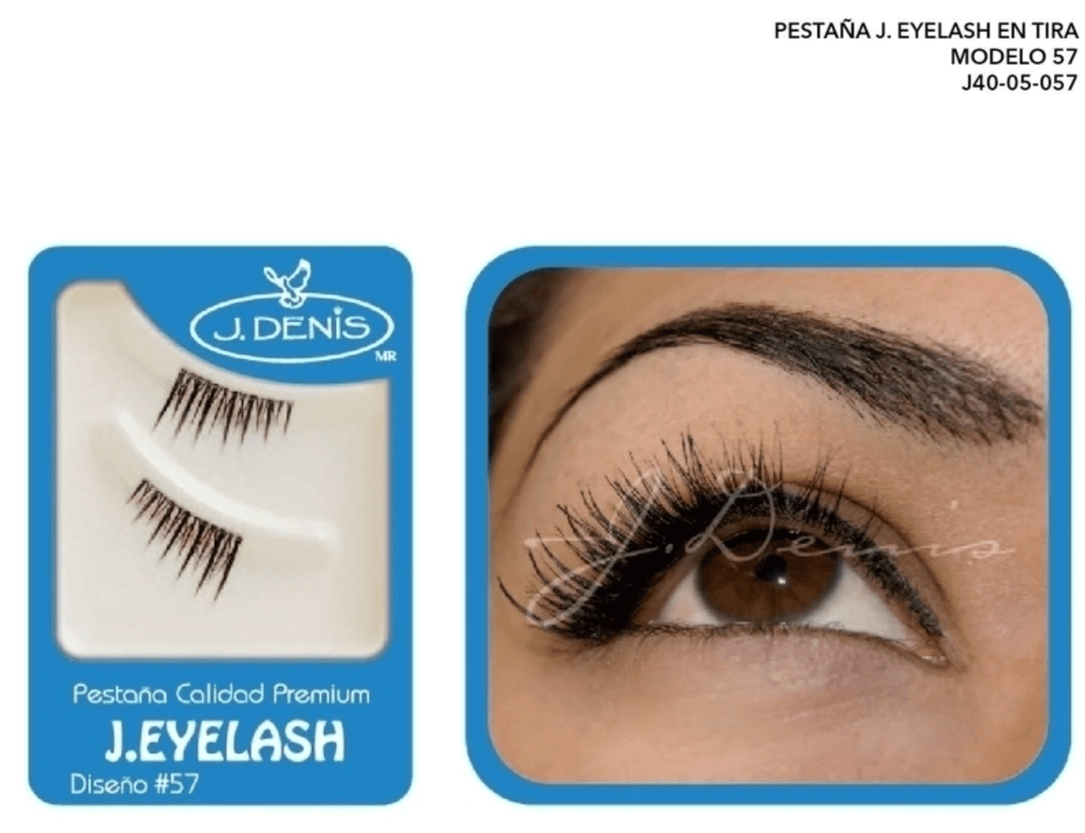 Pestaña Europea de Tira