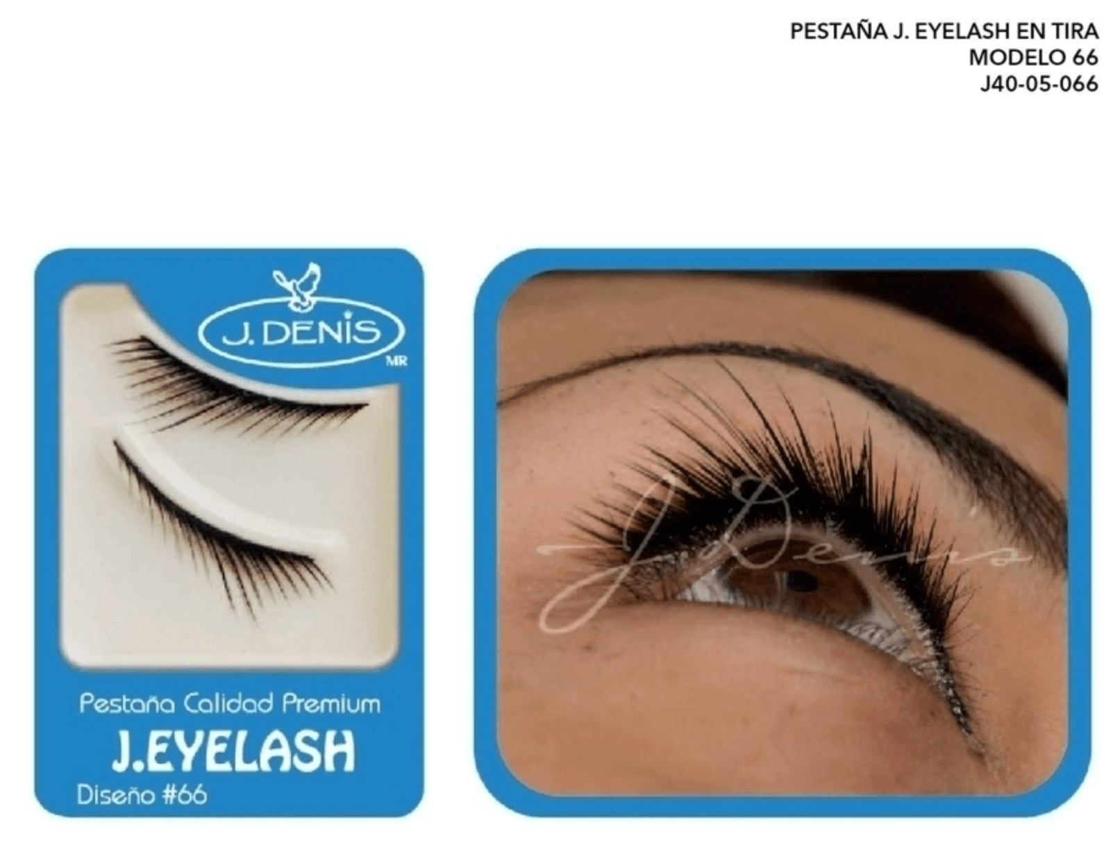 Pestaña Europea de Tira