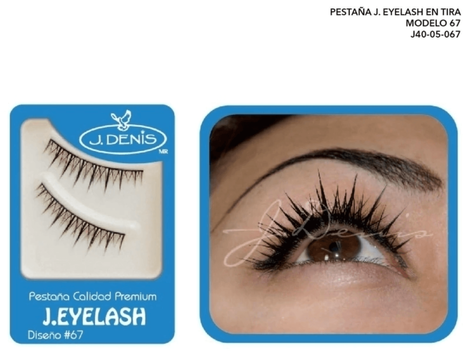 Pestaña Europea de Tira