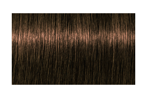 IGORA ROYAL Absolutes 6-50 — mechón de referencia oficial