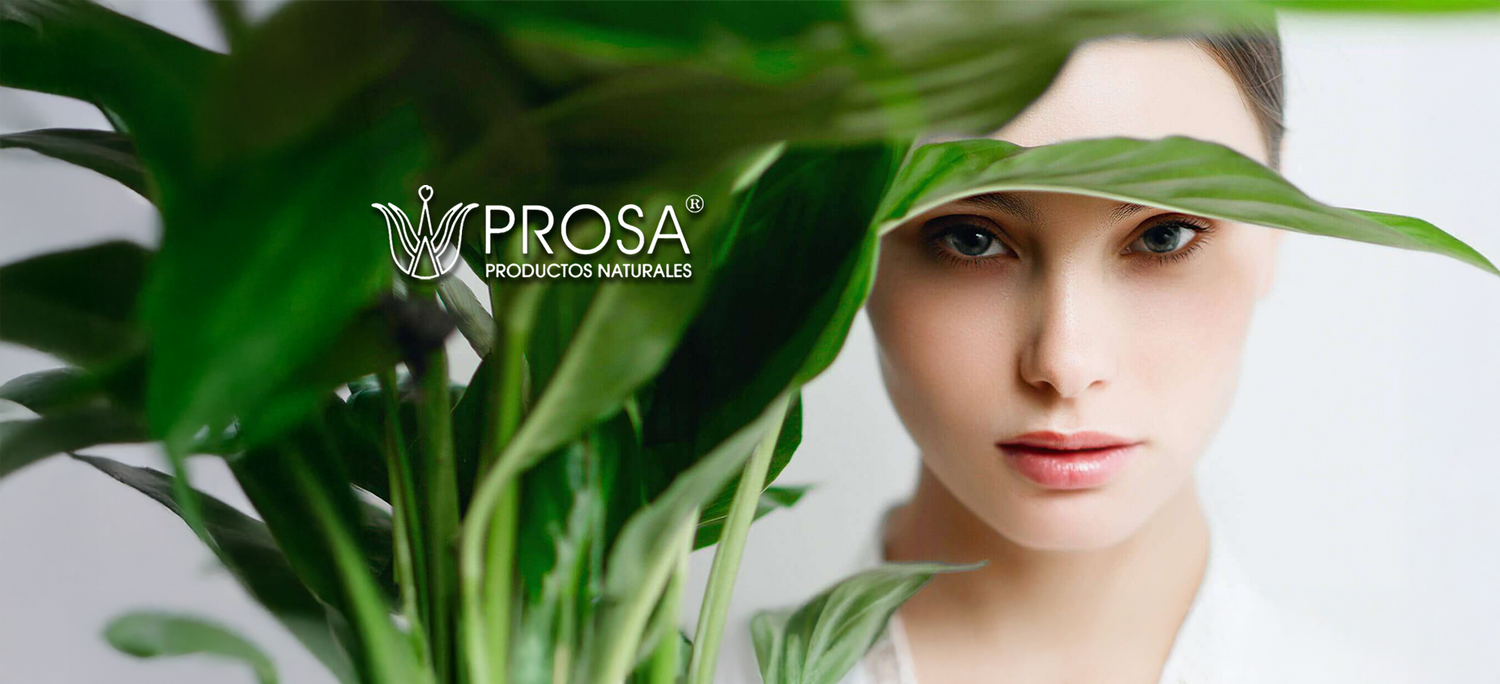 Prosa
