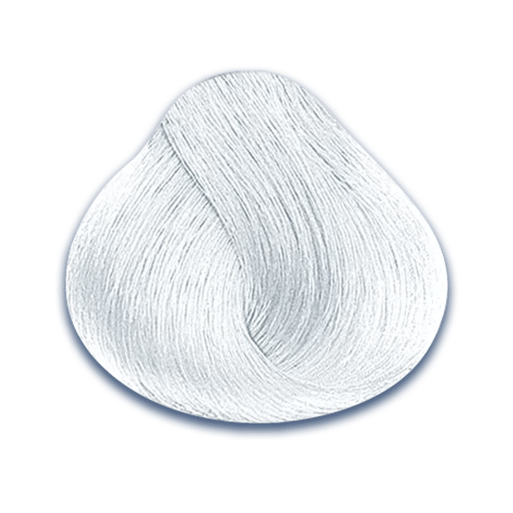 2. Correctores y Booster de Evolution of the Color