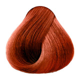 Tinte permanente Xiomara CoberColor 2 × 60 g – 8.34 · Rubio Claro Dorado Cobrizo