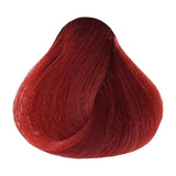 Tinte permanente sin amoníaco Xiomara 300 100 g – 6.66 · Rubio Oscuro Rojizo