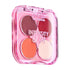 Pink Up Cuarteto de Sombras – 01 Charm