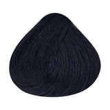 Alfaparf Milano Evolution Color Guard 1.11 Negro Azul — referencia de tono del fabricante