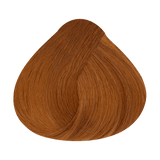 Alfaparf Milano Evolution Color Guard 7.43 Rubio Medio Cobre Dorado — referencia de tono del fabricante