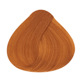 Alfaparf Milano Evolution Color Guard 8.34 Rubio Claro Dorado Cobre — referencia de tono del fabricante