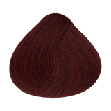 Alfaparf Milano Evolution Color Guard 5.6 Castaño Claro Rojo — referencia de tono del fabricante