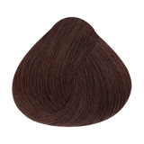 Alfaparf Milano Evolution Color Guard 6.5 Rubio Oscuro Caoba — referencia de tono del fabricante