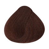 Alfaparf Milano Evolution Color Guard 6.562 Rubio Oscuro Caoba Rojo Irisado — referencia de tono del fabricante