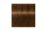 IGORA ROYAL Absolutes 6-60 — mechón de referencia oficial