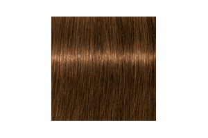IGORA ROYAL Absolutes 6-60 — mechón de referencia oficial