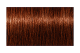 IGORA ROYAL Absolutes 6-70 — mechón de referencia oficial