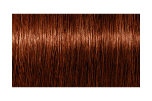IGORA ROYAL Absolutes 6-70 — mechón de referencia oficial