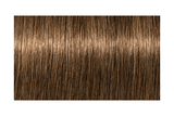 IGORA ROYAL Absolutes 7-450 — mechón de referencia oficial