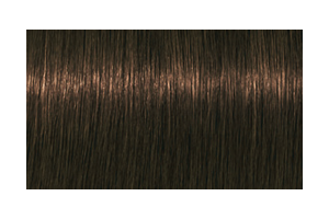 IGORA ROYAL Absolutes 7-460 — mechón de referencia oficial