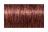 IGORA ROYAL Absolutes 7-560 — mechón de referencia oficial