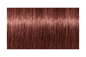 IGORA ROYAL Absolutes 7-560 — mechón de referencia oficial