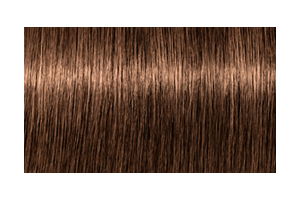 IGORA ROYAL Absolutes 8-60 — mechón de referencia oficial