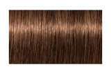 IGORA ROYAL Absolutes 8-60 — mechón de referencia oficial