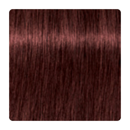 Tinte permanente para canas Schwarzkopf IGORA ROYAL Absolutes 60 ml – tono 5-80 · Castaño Claro Rojizo Natural