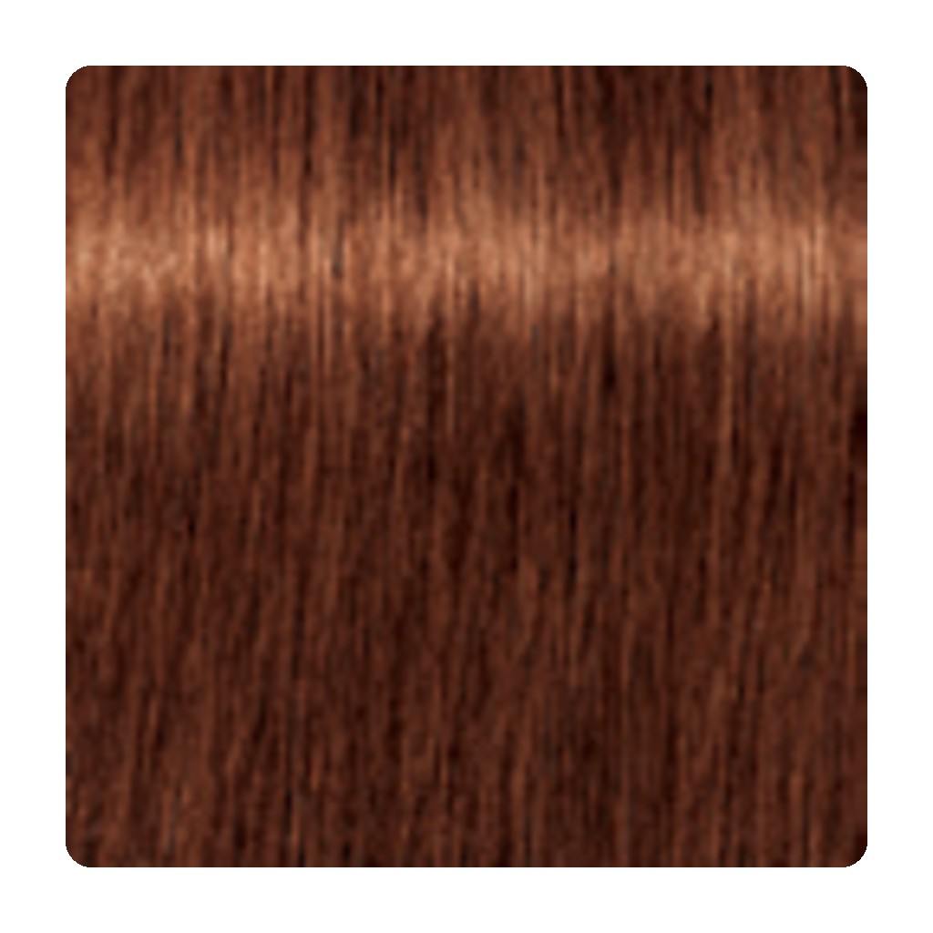 Tinte permanente para canas Schwarzkopf IGORA ROYAL Absolutes 60 ml – tono 6-70 · Rubio Oscuro Cobrizo Natural