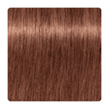 Tinte permanente para canas Schwarzkopf IGORA ROYAL Absolutes 60 ml – tono 7-560 · Rubio Medio Dorado Chocolate Natural