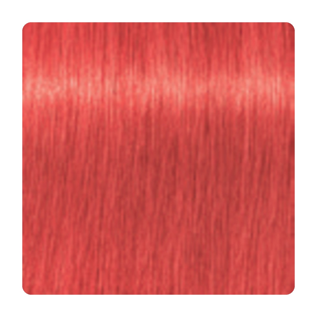 Tinte permanente Schwarzkopf IGORA ROYAL 60 ml – tono 0-88 · Concentrado Rojo