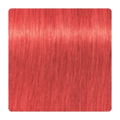 Tinte permanente Schwarzkopf IGORA ROYAL 60 ml – tono 0-88 · Concentrado Rojo