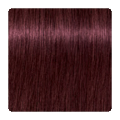 Tinte permanente Schwarzkopf IGORA ROYAL 60 ml – tono 4-88 · Castaño medio rojizo extra