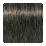 Tinte permanente Schwarzkopf IGORA ROYAL 60 ml – tono 6-1 · Rubio Oscuro Ceniza
