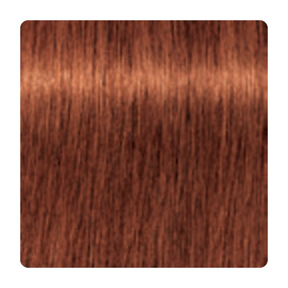 Tinte permanente Schwarzkopf IGORA ROYAL 60 ml – tono 6-77 · Rubio Oscuro Cobrizo Intenso