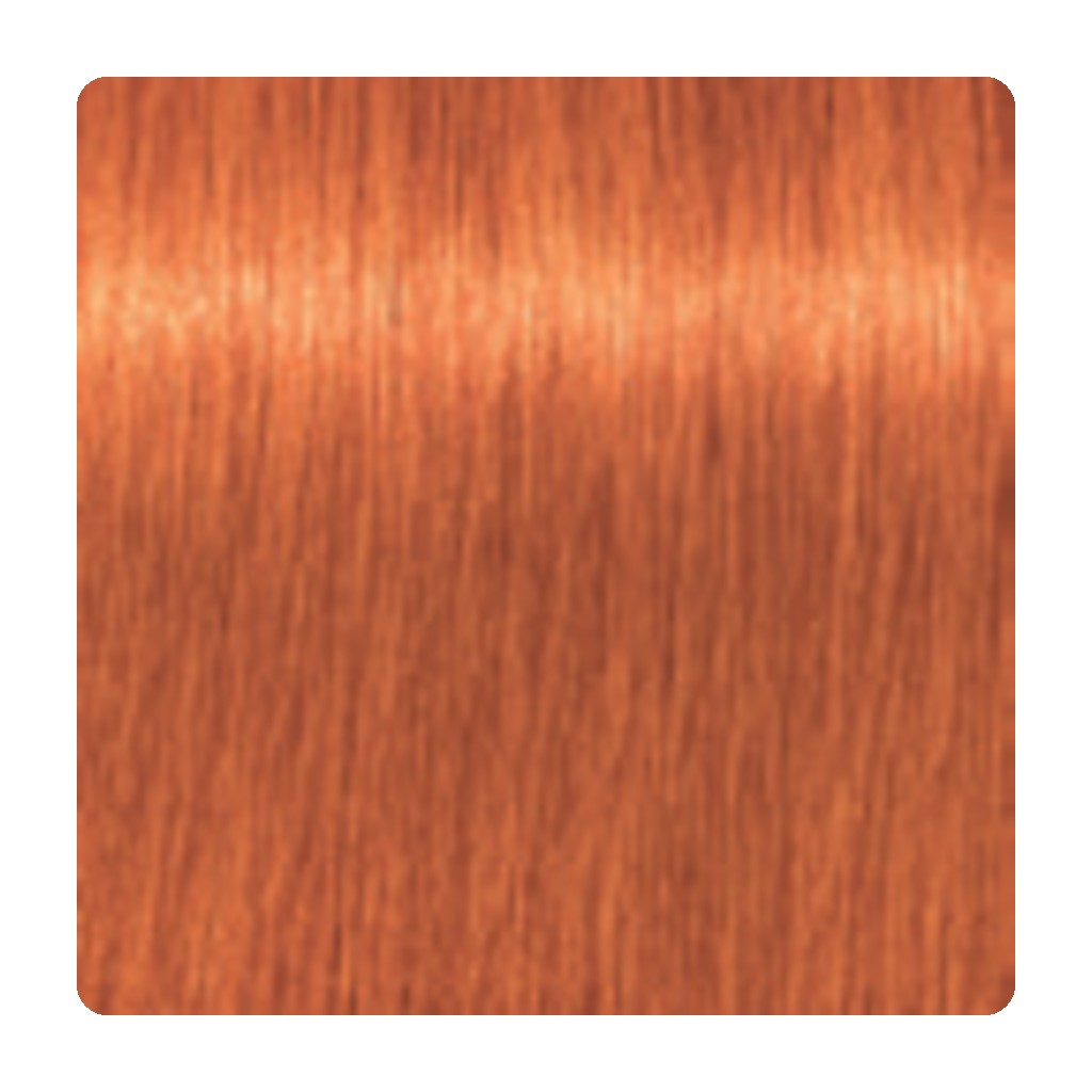 Tinte permanente Schwarzkopf IGORA ROYAL 60 ml – tono 8-77 · Rubio Claro Cobrizo Intenso
