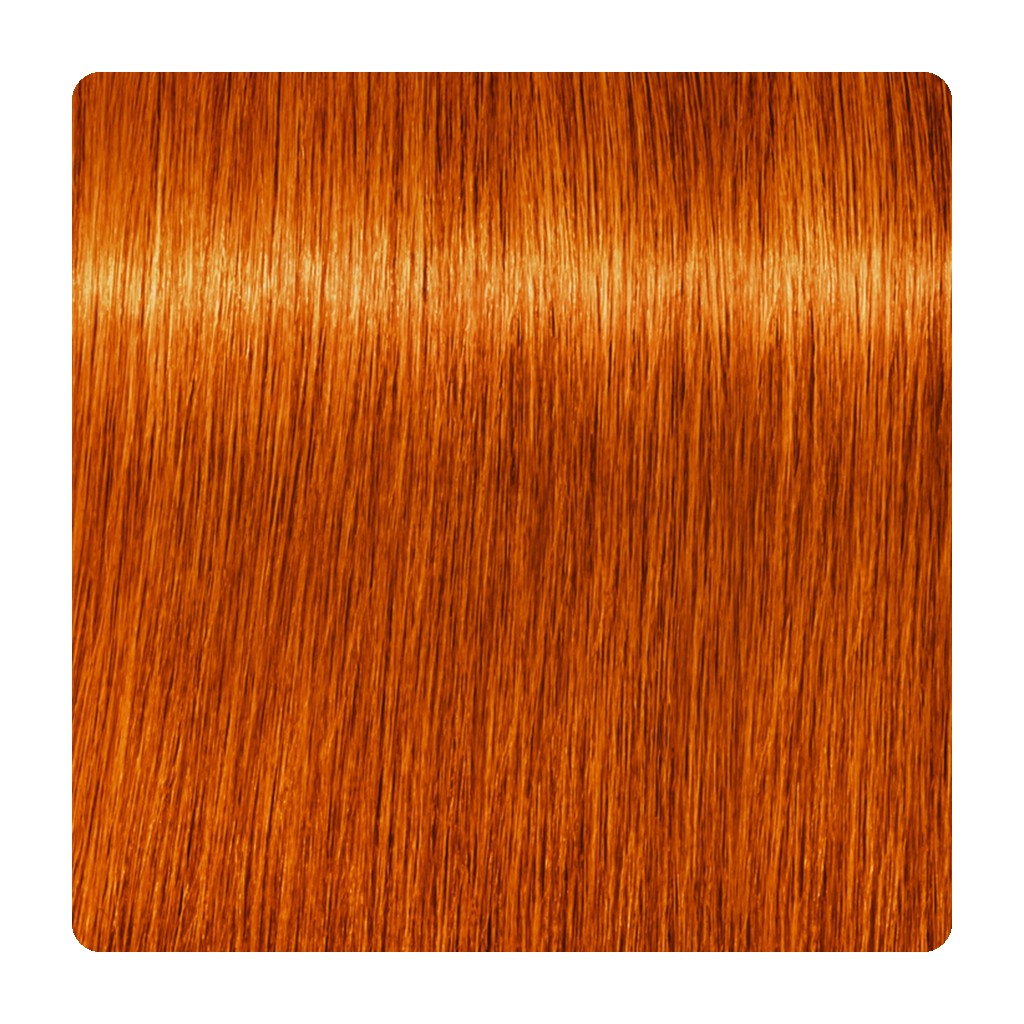 Tinte permanente sin amoníaco Schwarzkopf IGORA ZERO AMM 60 ml – tono 7-77 · Rubio Medio Cobrizo Intenso