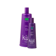 1 L