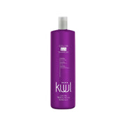 1 L