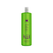 1 L